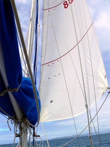 Fiji sailing under the new jib