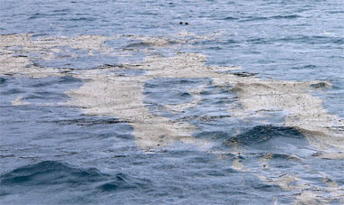 volcanic eruption fallout