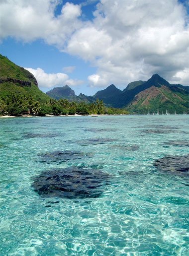 Opunohu Bay in Moorea