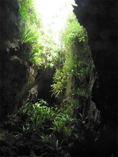 Niue Island Caves