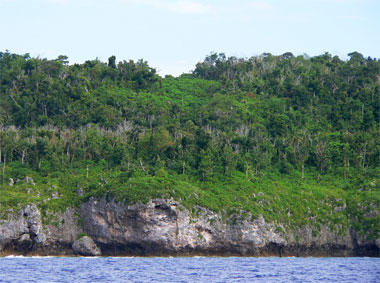 Niue Island's Cliffs