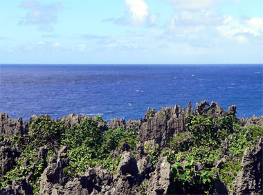 Niue Island Rock Formations