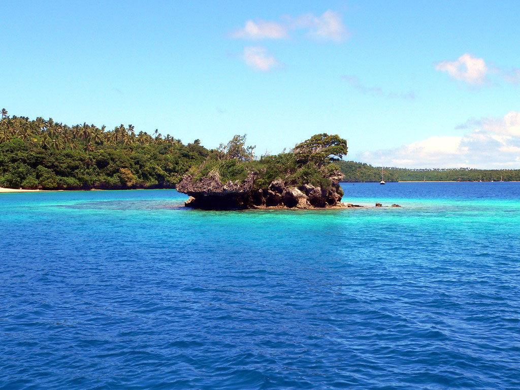 Lobster from the Haapai Island group of TONGA